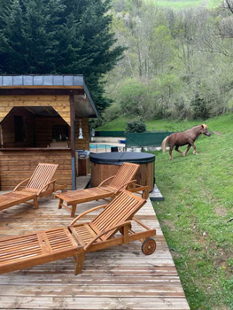 les trois maisons, gite de montagne en vallée d’aspe avec piscine, spa, sauna, animaux et stage sportif, bain nordique