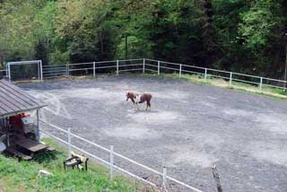 les trois maisons, gite de montagne en vallée d’aspe avec piscine, spa, sauna, animaux et stage sportif