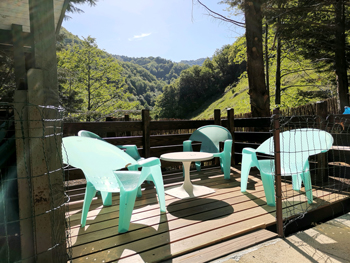 les trois maisons, gite de montagne en vallée d’aspe avec piscine, spa, sauna, animaux et stage sportif