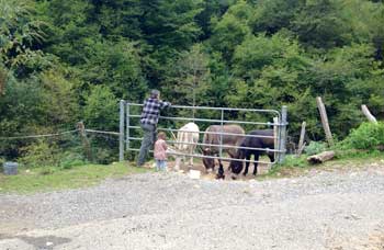 les trois maisons, gite de montagne en vallée d’aspe avec piscine, spa, sauna, animaux et stage sportif