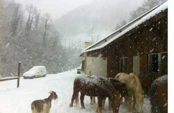 les trois maisons, gite de montagne en vallée d’aspe avec piscine, spa, sauna, animaux et stage sportif