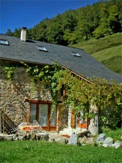 les trois maisons, gite de montagne en vallée d’aspe avec piscine, spa, sauna, animaux et stage sportif, gîte jaune